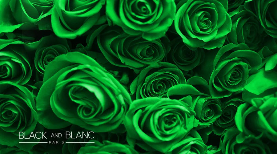 The-Meaning-And-Symbolism-Of-Green-Roses