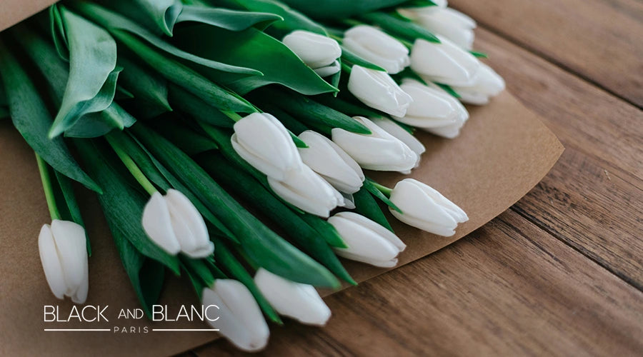 white-tulip-flower-meaning