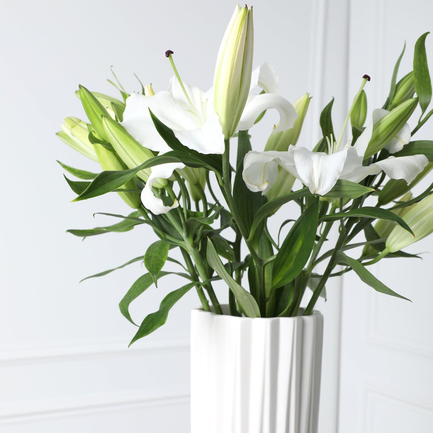 
                  
                    White Lily Lea in Vase - Fresh Flowers
                  
                