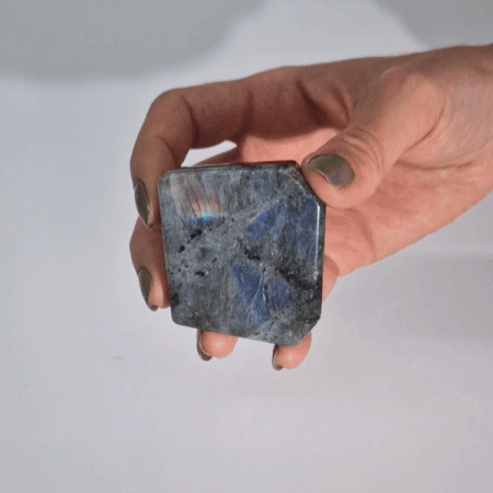https://cdn.shopify.com/s/files/1/0074/7962/3746/files/251530.gif?v=1750978139