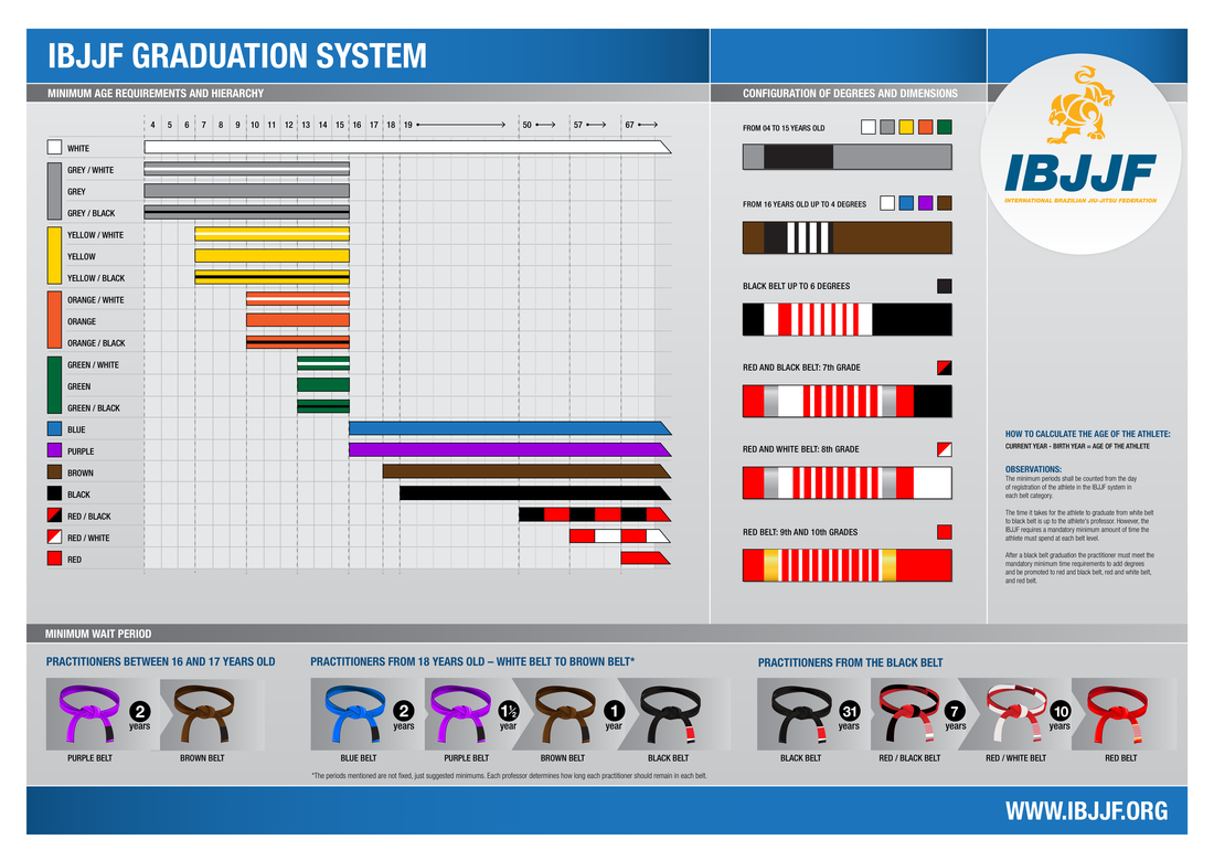 BJJ Belt Grading