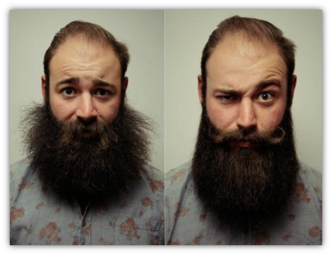 Men Beard Styler