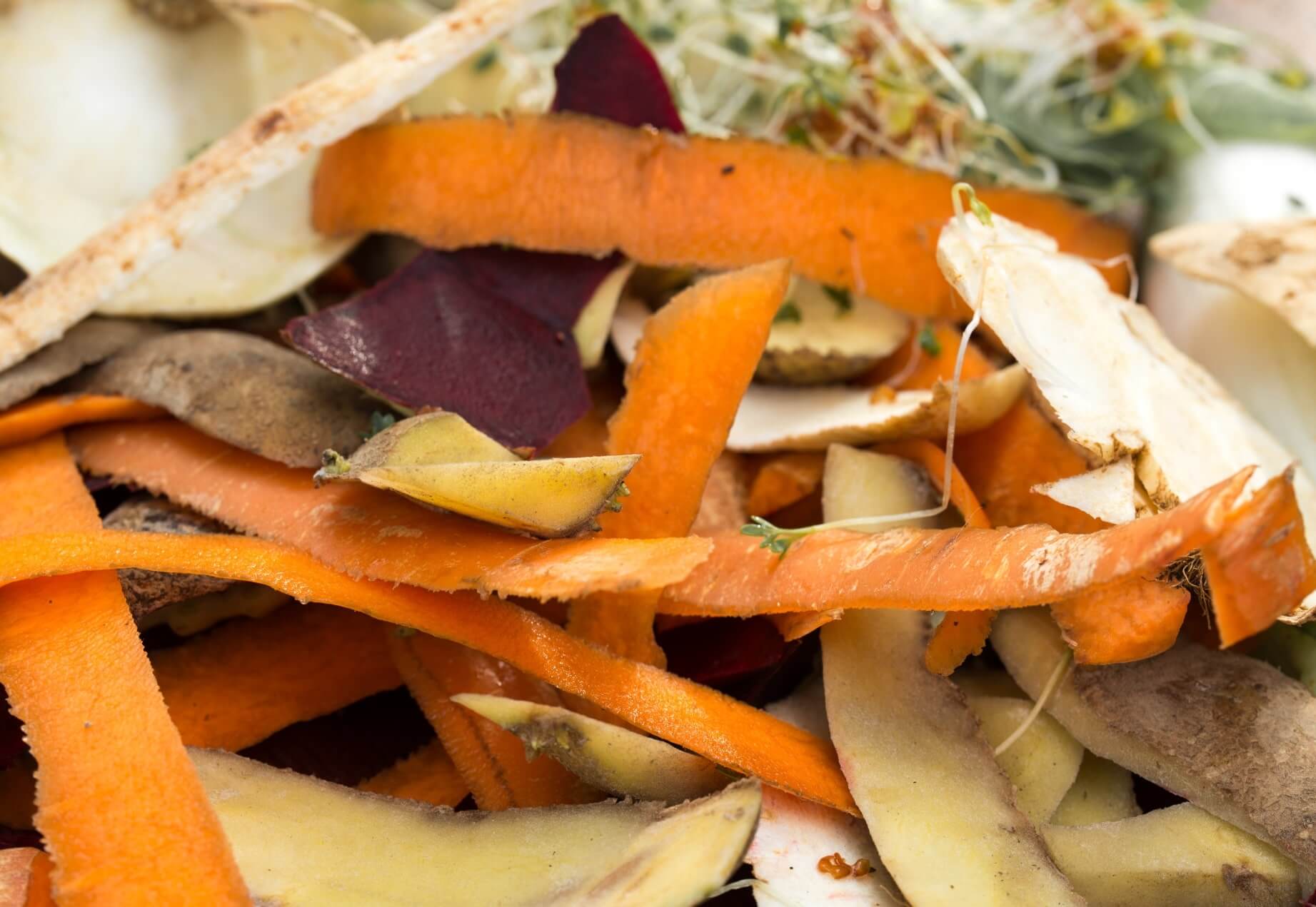 Vegetable Peel Chips