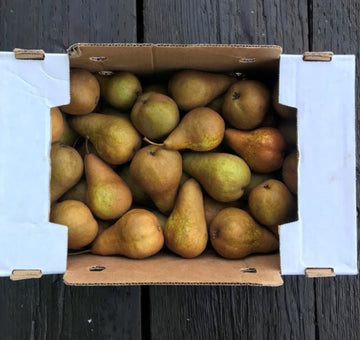 Honeycrisp Bushel Box - Klein's Kill Fruit Farms