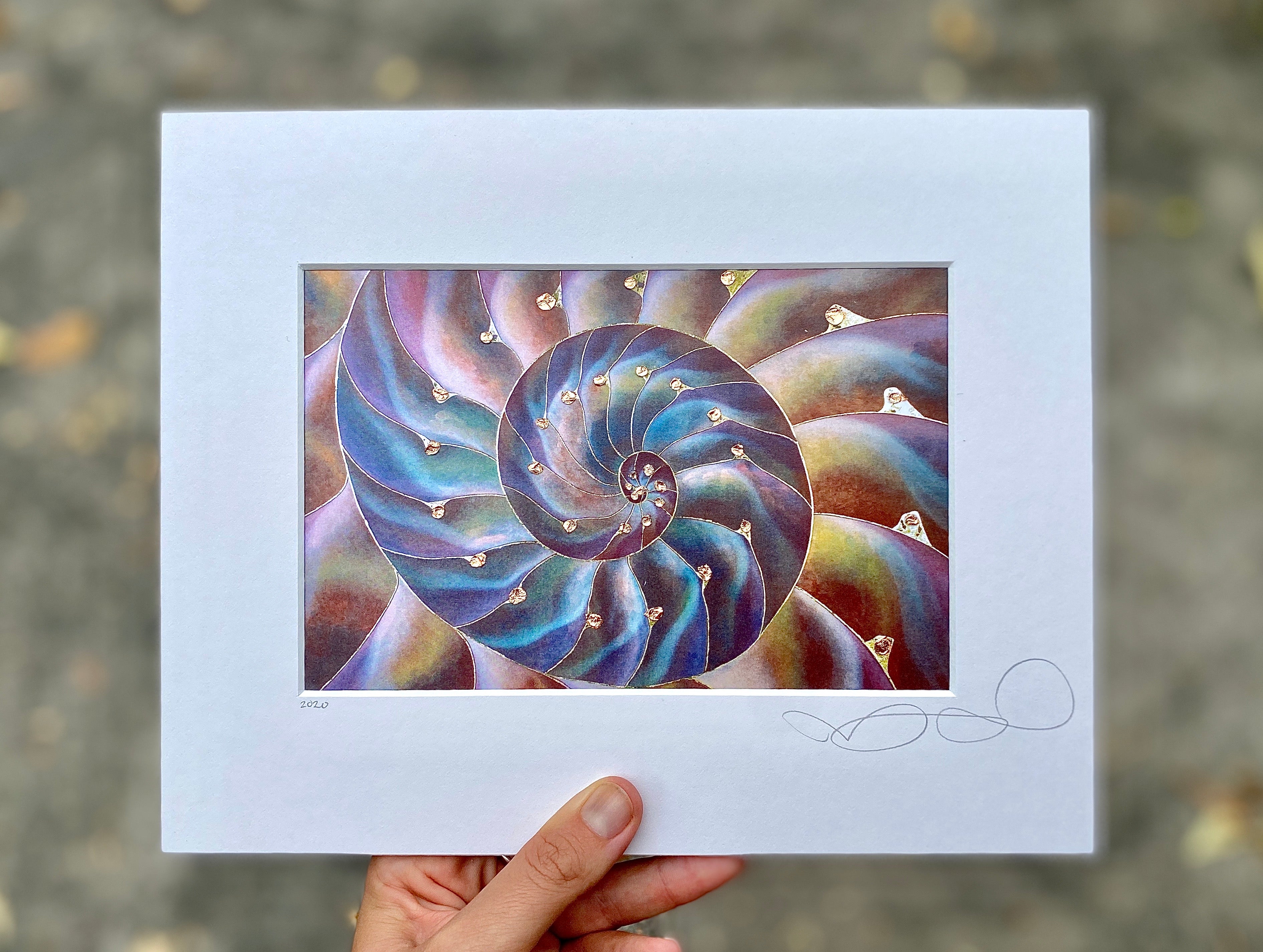 Nautilus Shell Print Rainbow Hue Danielleburnside