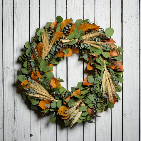 22” autumn wreath is handmade with silver dollar eucalyptus, green and root beer colored eucalyptus, golden-yellow salal leaves, and natural wheat on a dark white wood fence background.