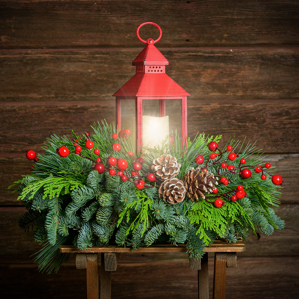 Centerpiece of noble fir, cedar, red berry branches, frosted pine cones, red LED lantern