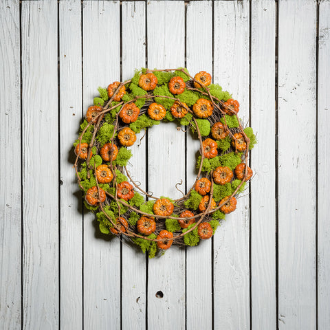 18" natural wreath made of real, dried cherry pumpkins and contrasting green reindeer moss. and grapevine accents on a white wood fence background.