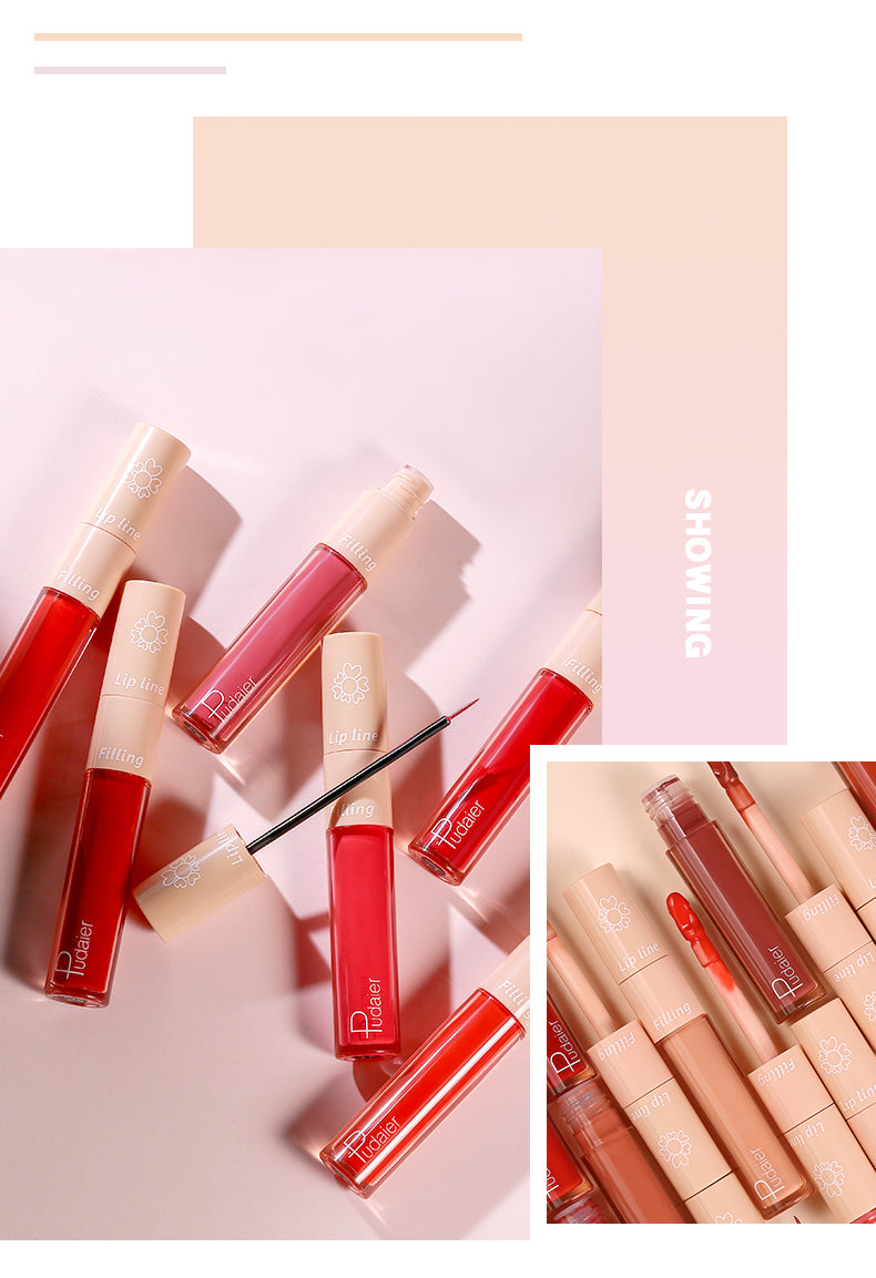 2020 New Pudaier Duo Lip Liner & Matte Liquid Lipstick - Color #03 Bro –  rainbowbeautybrands