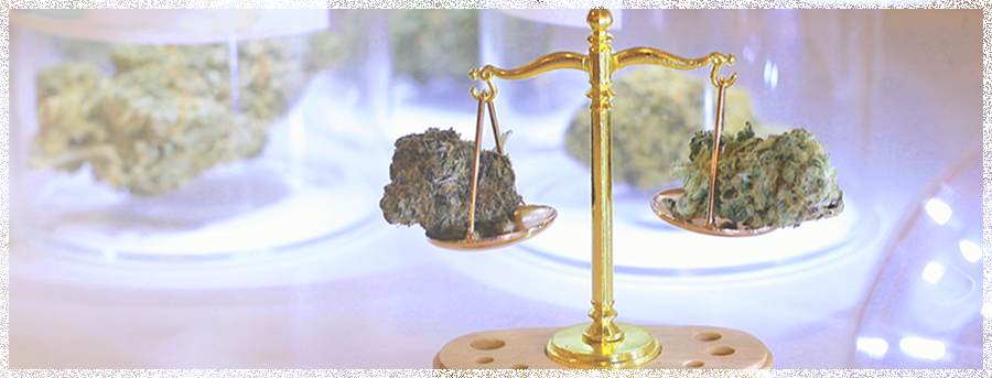 Miniature scales weighing cannabis flowers