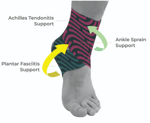 Detailed diagram of where the wrap supports the ankle