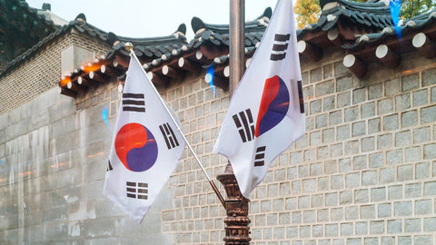 Republic of South Korea Flag 