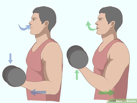 directional image of a man bicep curling a weight while showing arrows of when to breath in and out