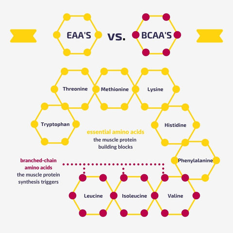 BCAA or EAA?