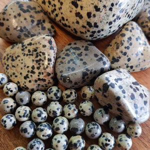 dalmation jasper