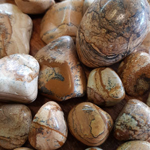 picture jasper