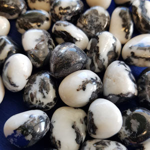 zebra jasper