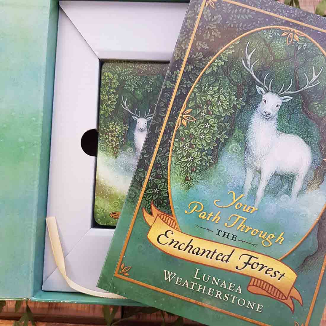 Forest of Enchantment Tarot - YouTube