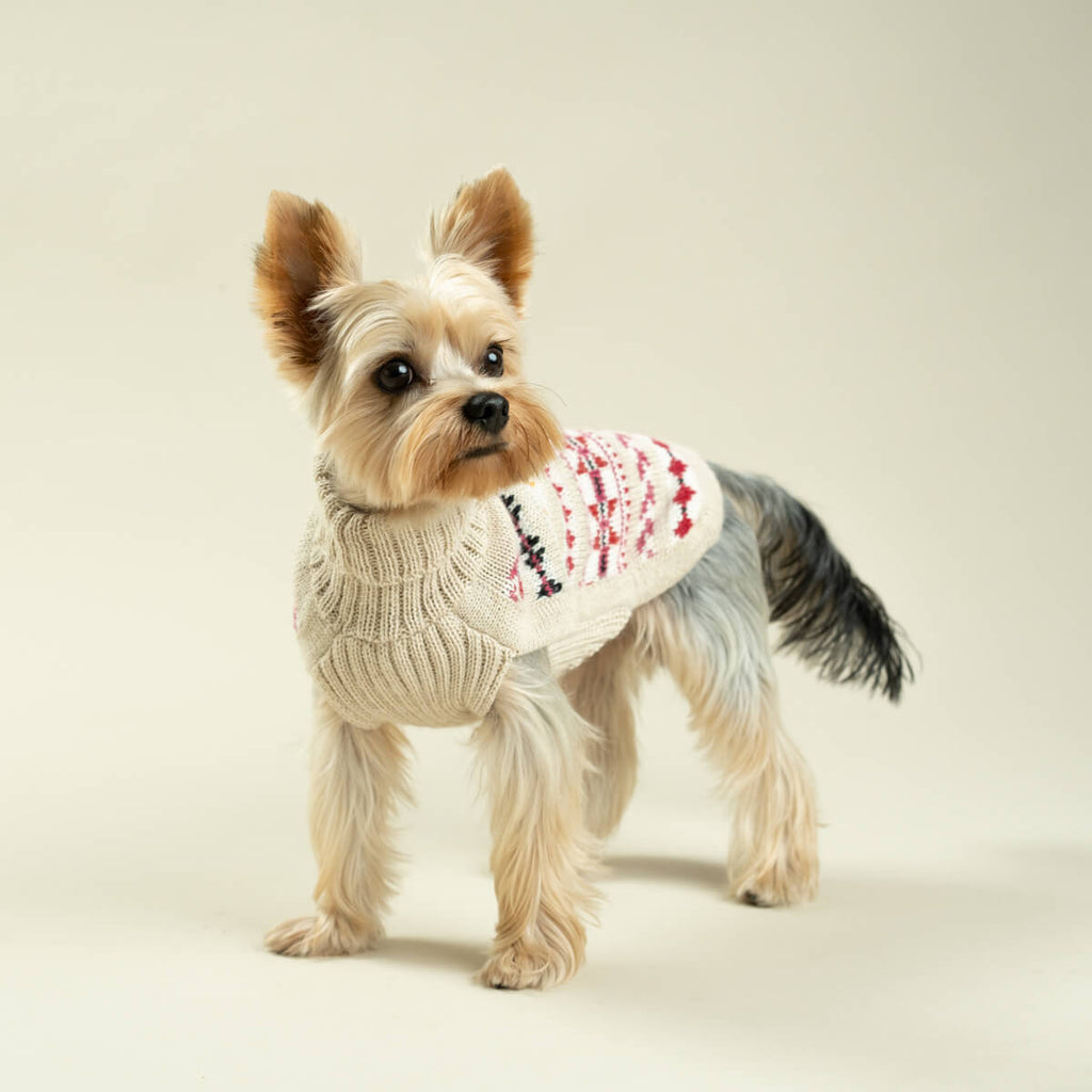 fair isle alpaca sweater – barking babies