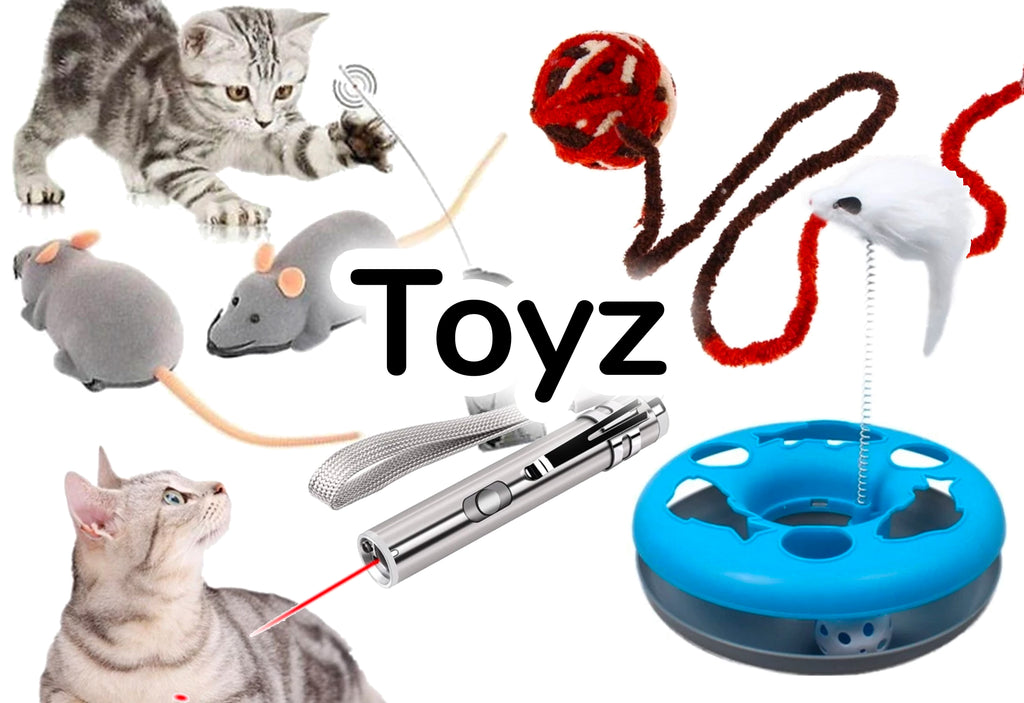 cat toys online