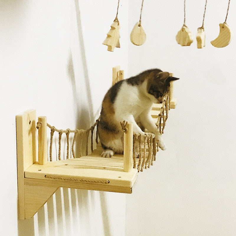 wall mounted cat toys