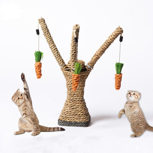 cat toy tree