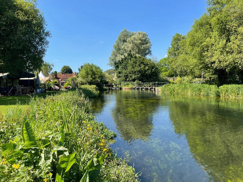 Beautiful summer day looking across the River Test in Hampshire