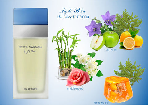 Light Blue by Dolce  Gabbana D&G EDT Perfume for Women