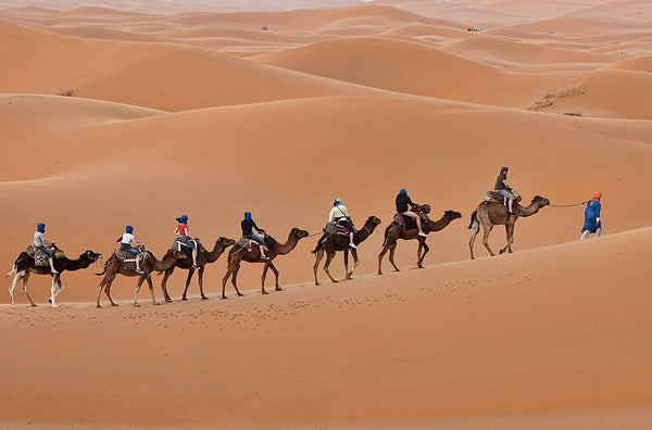 Morocco Desert Trek