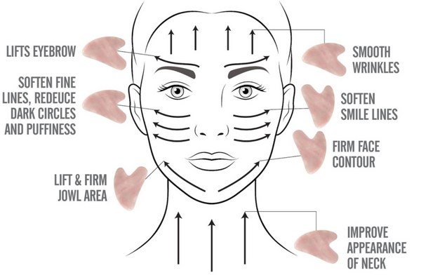 example of how to use a gua sha for facial yoga