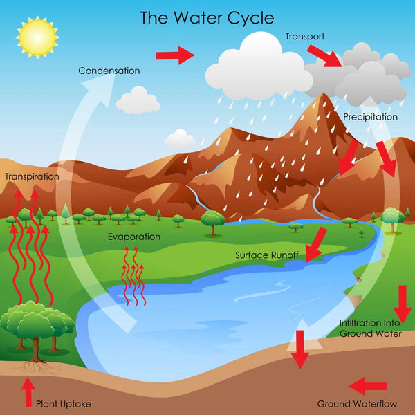 water cycle