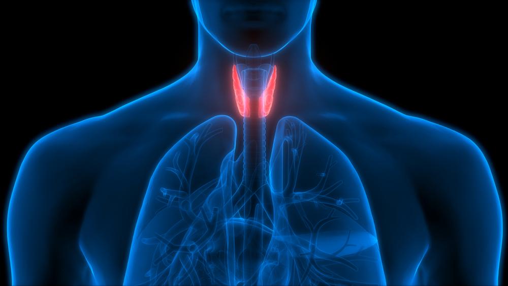 Red Light Therapy and Thyroid Regulation