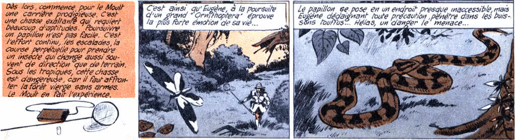 Eugène Le Moult (31 December 1882, Quimper – 26 January 1967, Paris) was a French adventurer : four-page graphic short story on his adventures in Tintin of 24 May 1956.