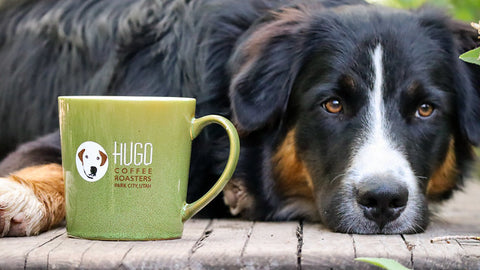 Hugo Coffee Mug and Rescue Dog from Hugo Coffee Roasters With Proceeds Benefitting Dog Rescue Organizations