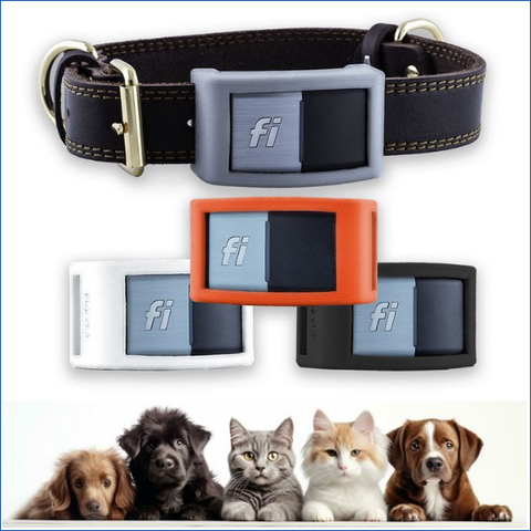 Fi Series 2 Collar for Pets