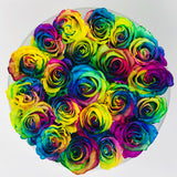 Rainbow Roses