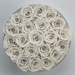 White preserved forever roses that last for years