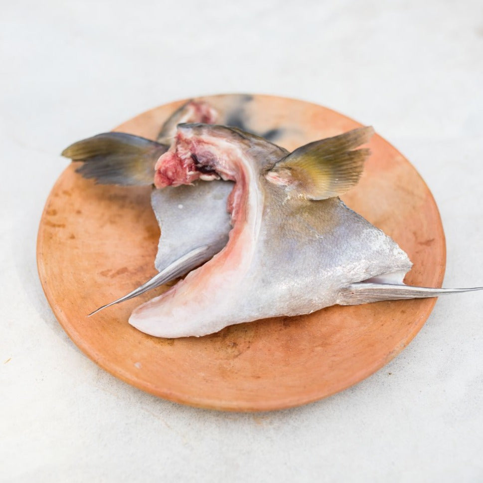 Kampachi Kama Yellowtail Collars Order Online Fast Delivery Riviera Seafood Club