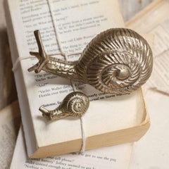 Snail paperweight