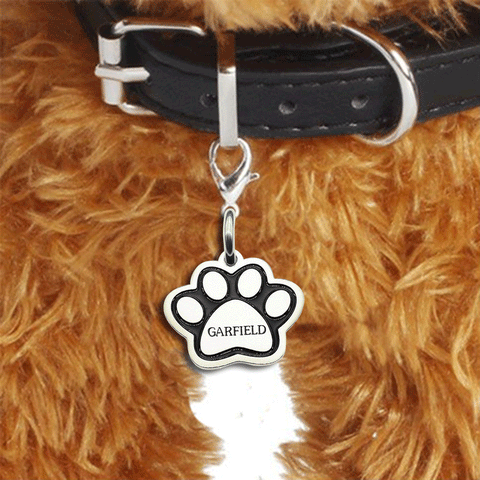 Single Paw Print Charm for Keyring