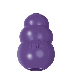 Kong Senior Toy