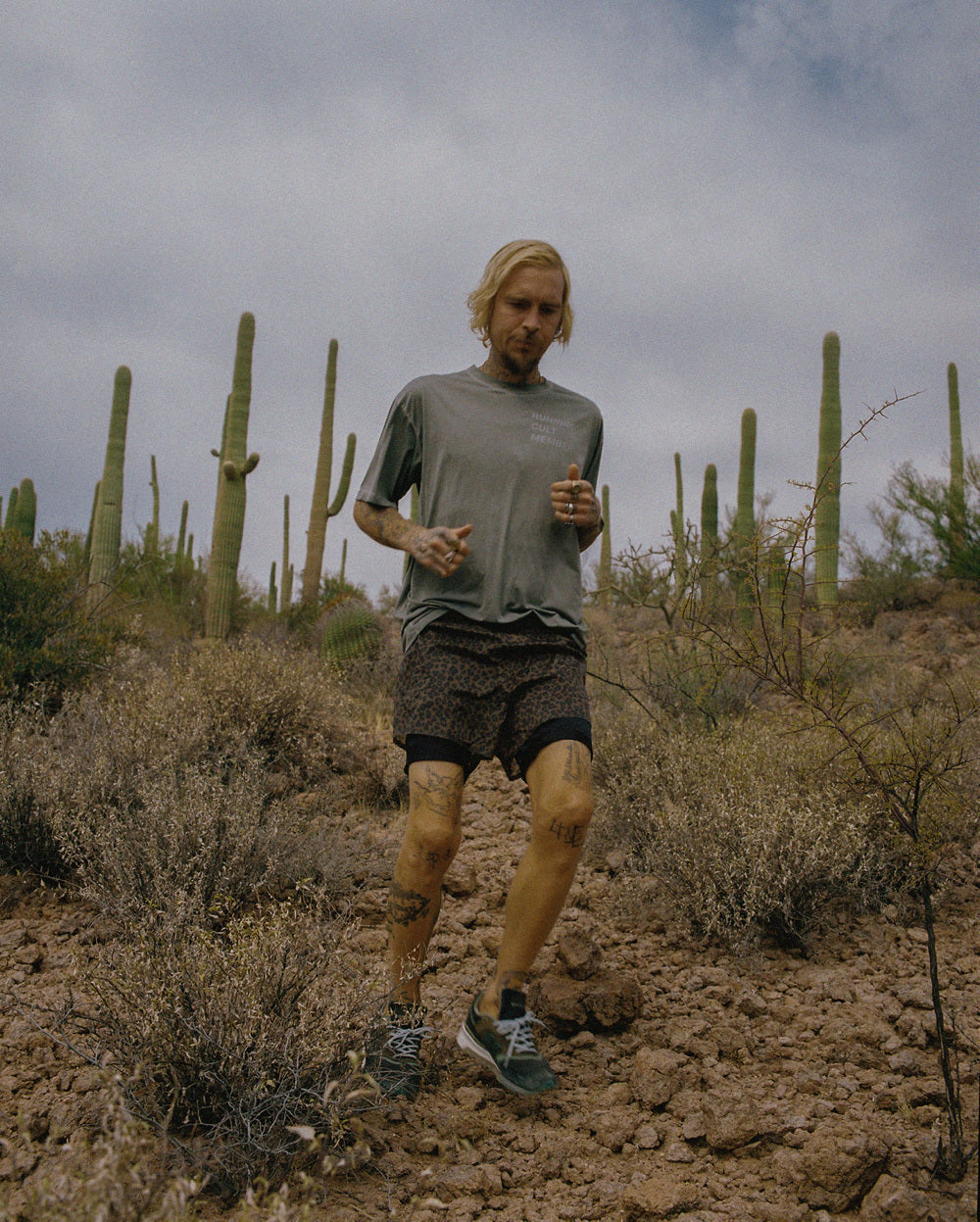 Ragdoll running cactus