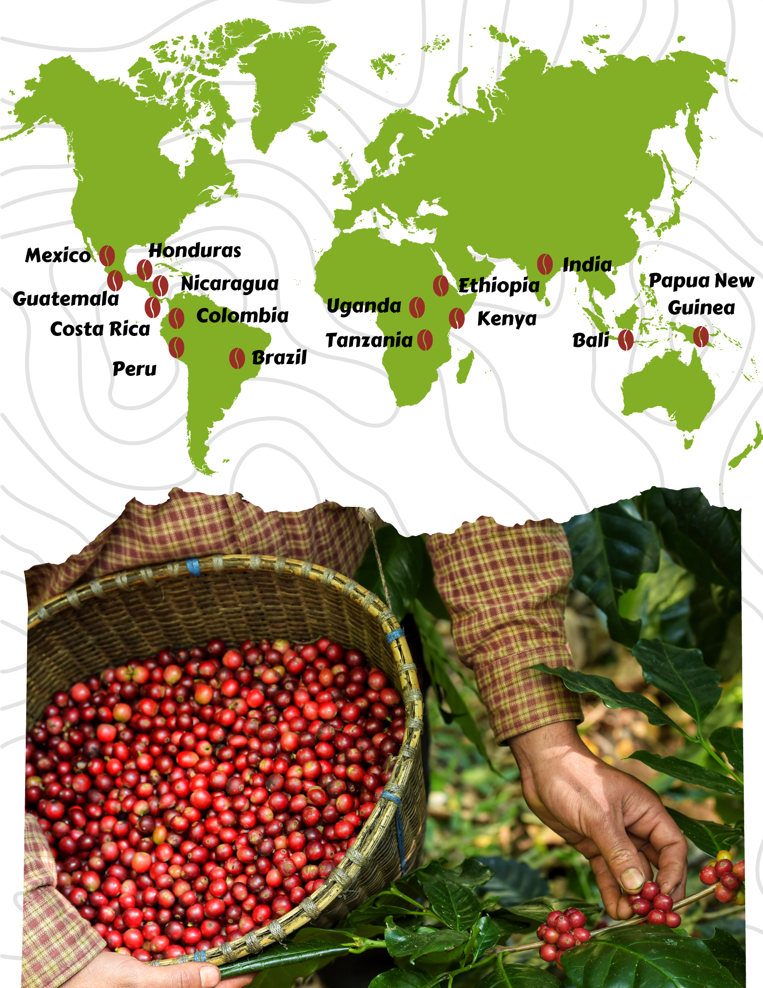 Our coffee farms