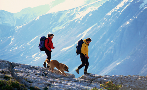 Hiking with your dogs