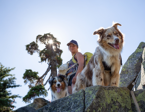 10 dog friendly trails in Colorado Springs