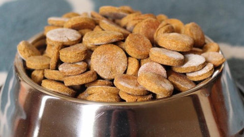 Healthy Peanut Butter and Pumpkin Dog Treats