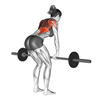 Barbell Bent Over Rows