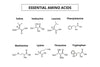 Essential Amino Acids