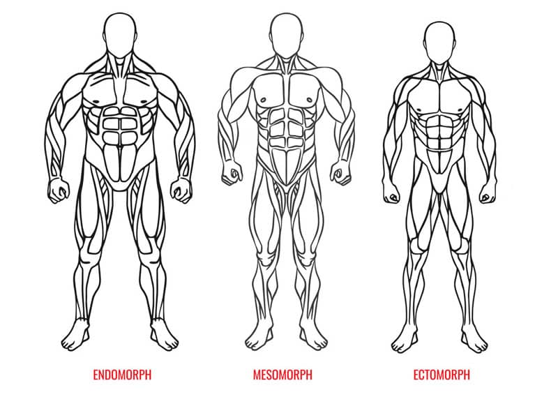 Train For Your Body Type: Ectomorph, Mesomorph or Endomorph
