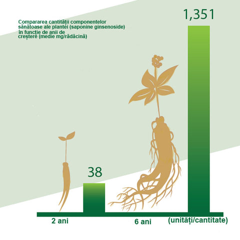 Ginseng 2 ani vs. 6 ani